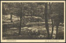 17513 Gezicht op de Acaciavijver in het bos bij Driebergen.